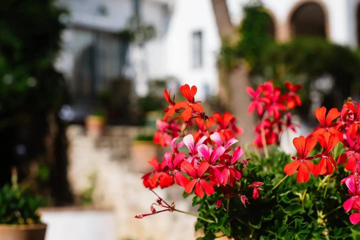 Villa De Luz Mijas Pueblo